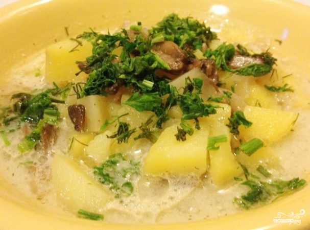 Картошка тушеная с грибами и сметаной